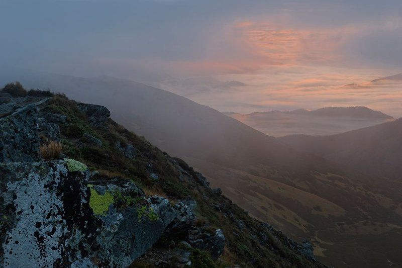 первый свет фото превью