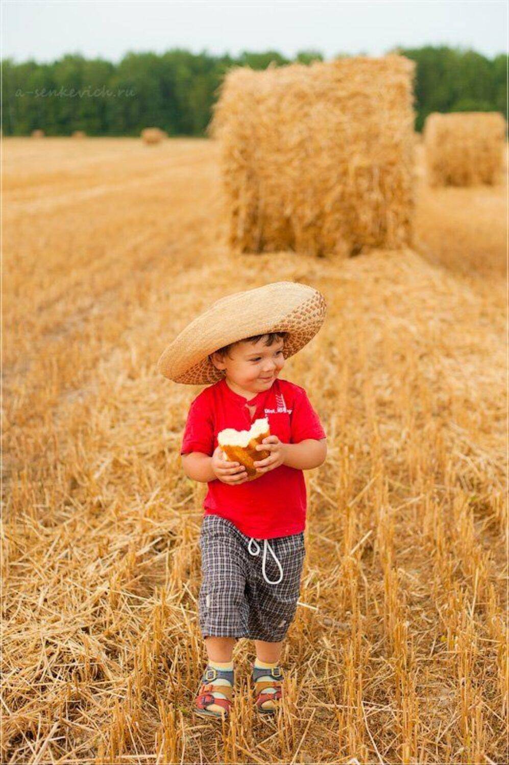 , Андрей Сенкевич