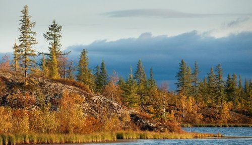 краски северной осени