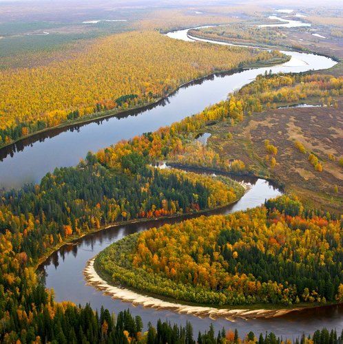 Концерт для сентября