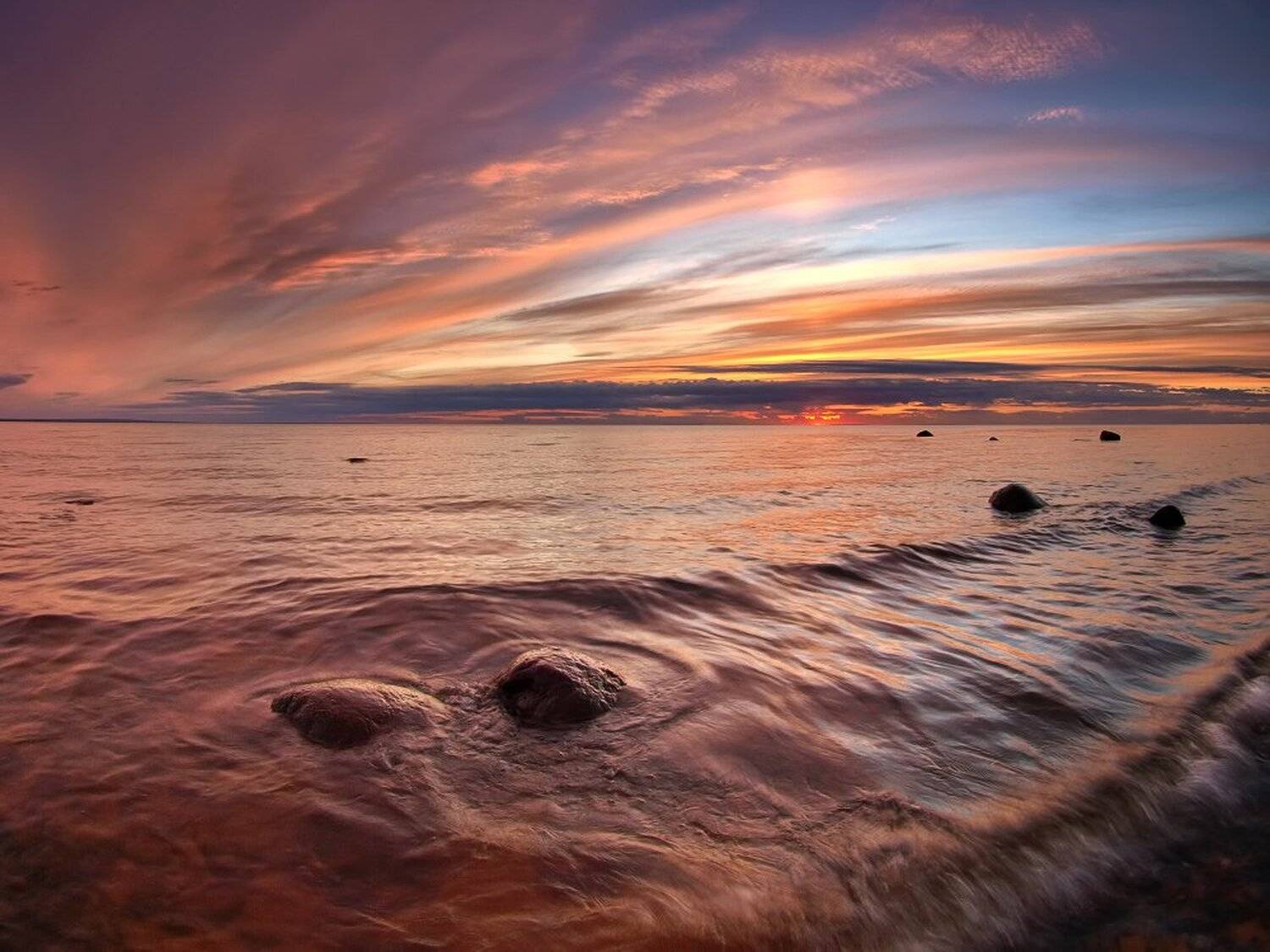 , Максим Евдокимов