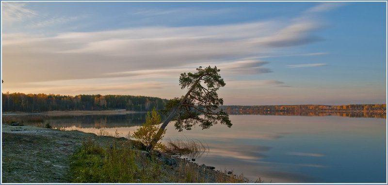 Одинокая... фото превью