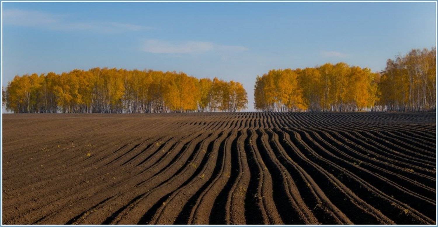 , Андрей Кашлаков