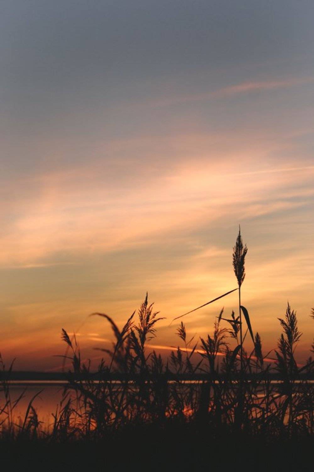 закат, природа, небо, трава, плещеево озеро, Инка