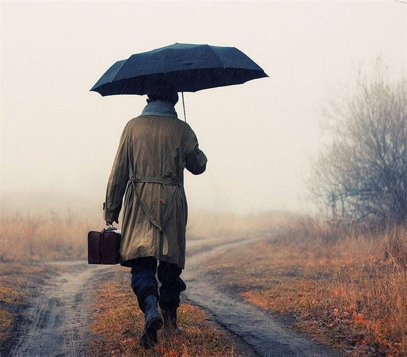 осень, дождь, зонт, Ольга М.