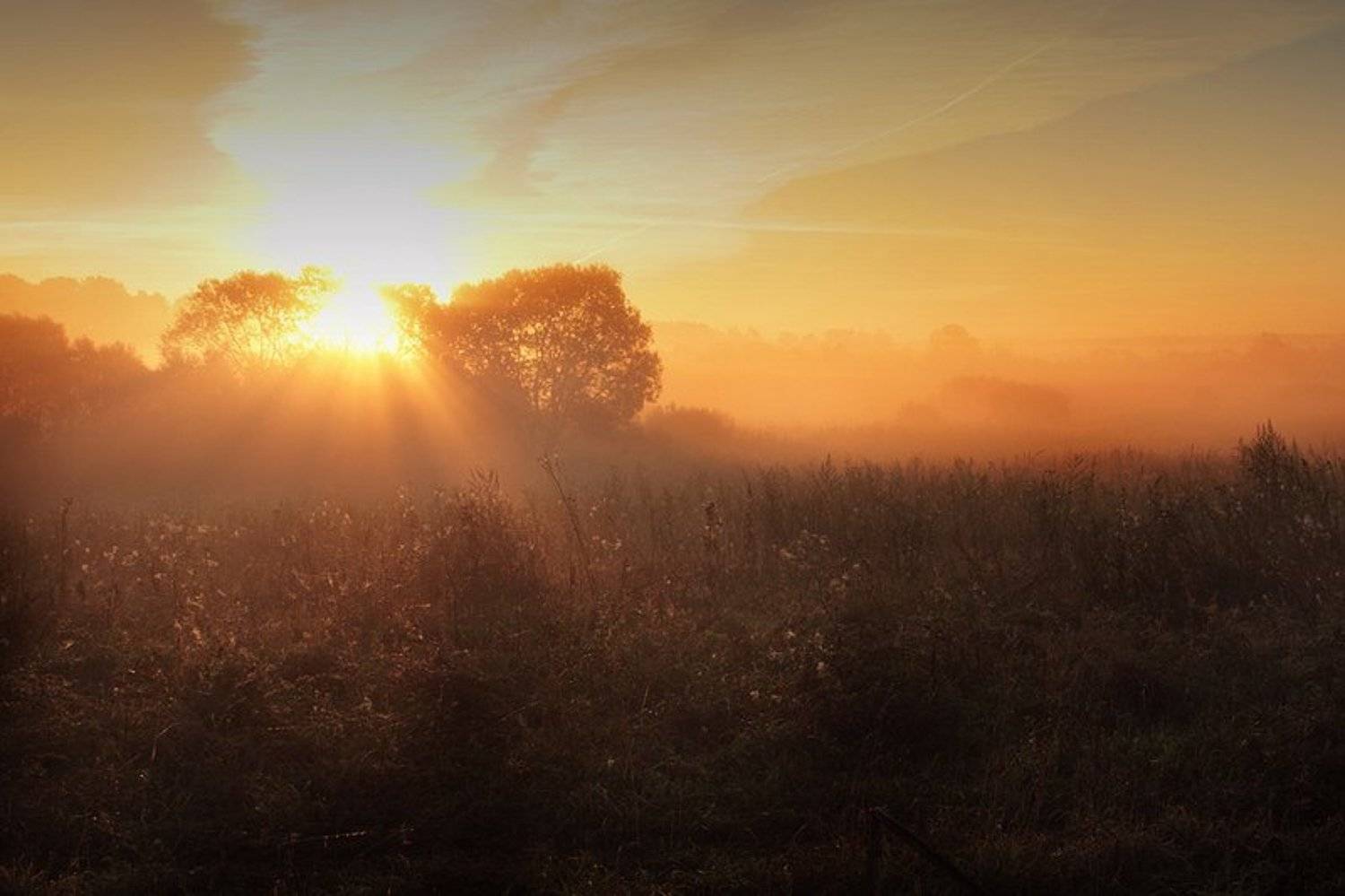 , Сергей Григорьев