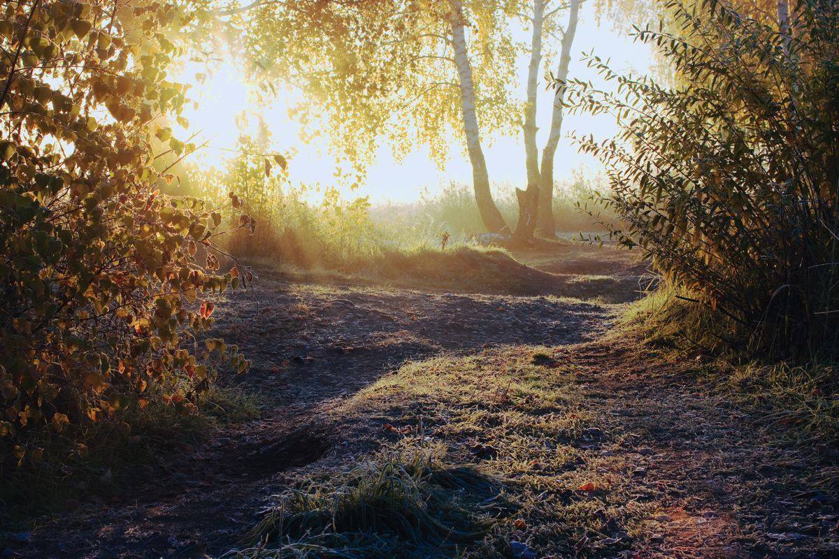 пейзаж, утро, осень, мороз, луч, солнце, sergey