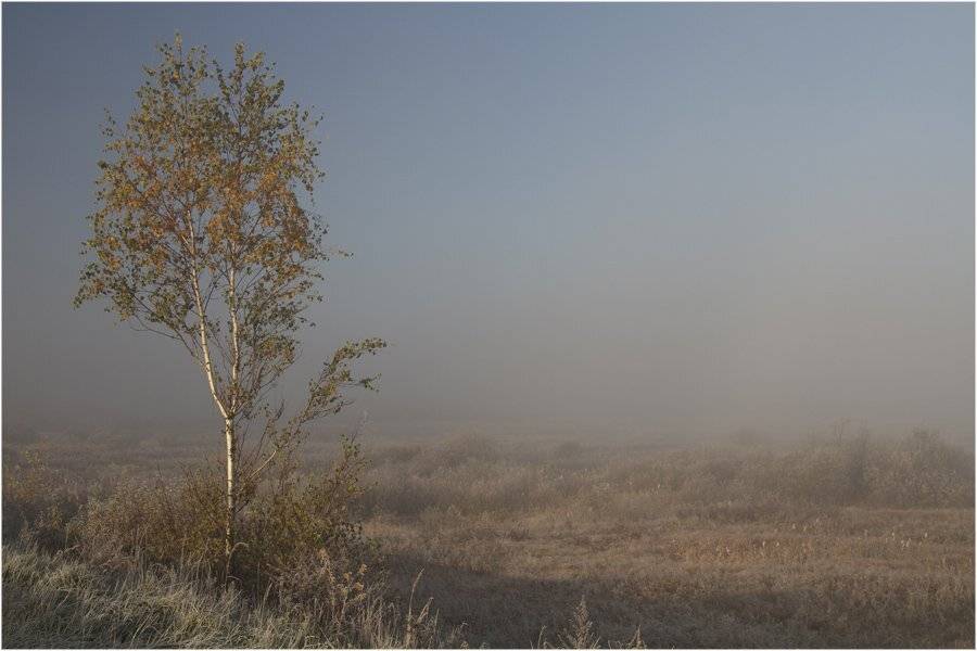 , СПИРИДОНОВ НИКОЛАЙ