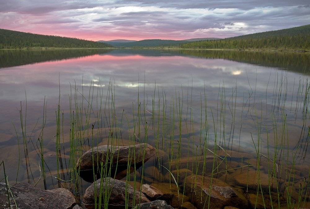 кольский, полуостров, озеро, дачное, закат, север, locus