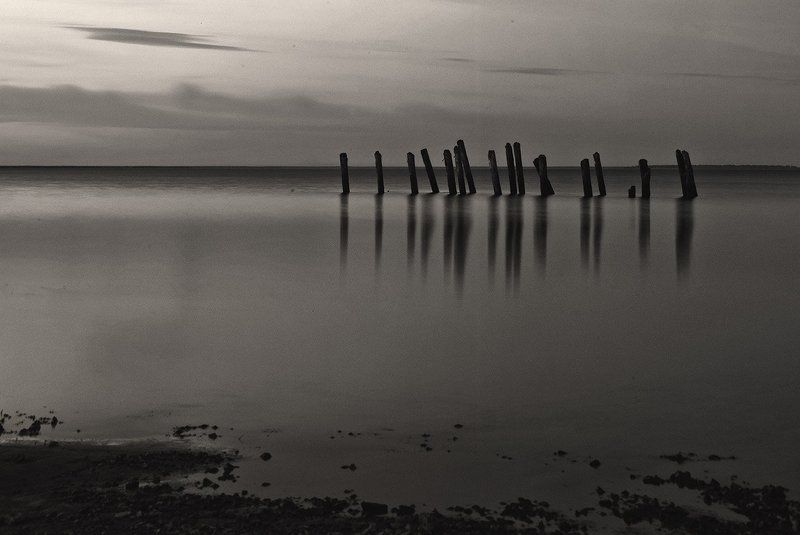 Reflections фото превью