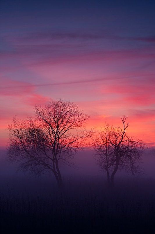 faniz, lefa, фаниз, ленчик Где-то ёжики в тумане пропадали фото превью