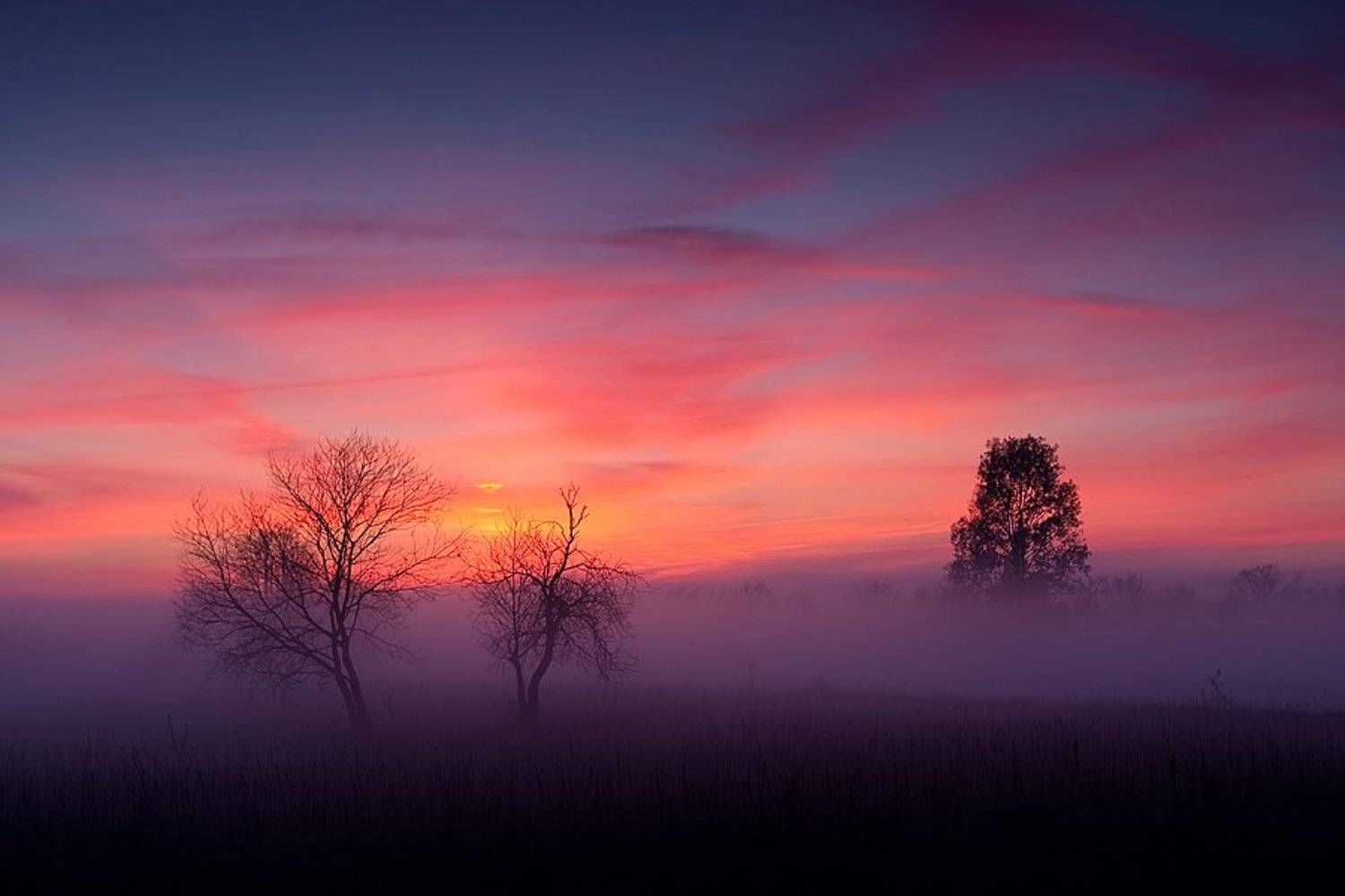 faniz, lefa, фаниз, ленчик, fanizzz