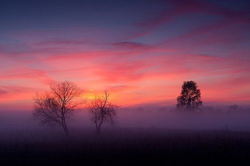 В тумане ёжик пропадал