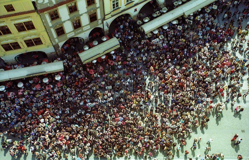 Ant Colony фото превью