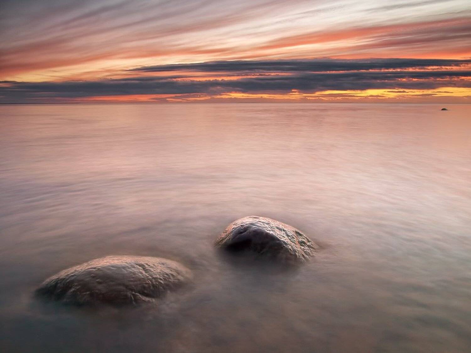 , Максим Евдокимов