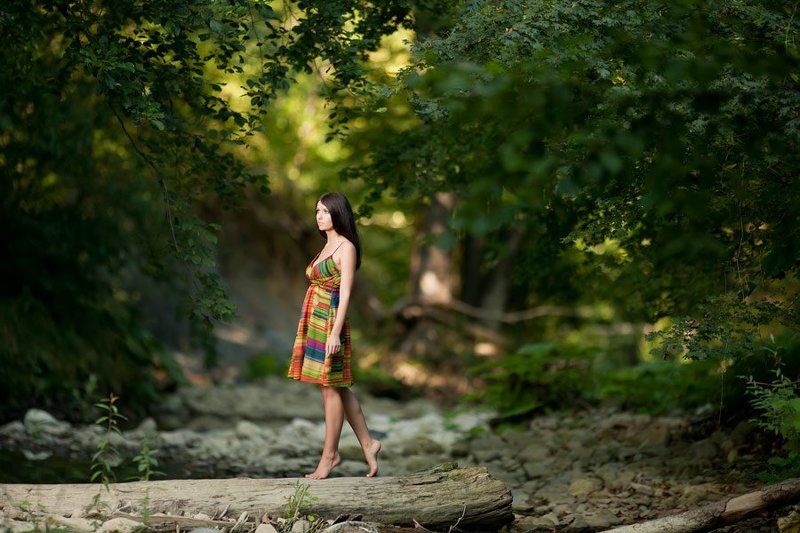 лесные... фото превью