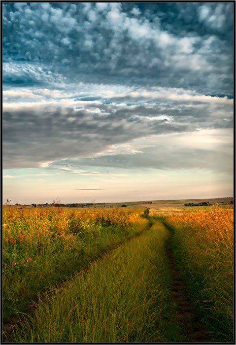 , Поліщук І.В.