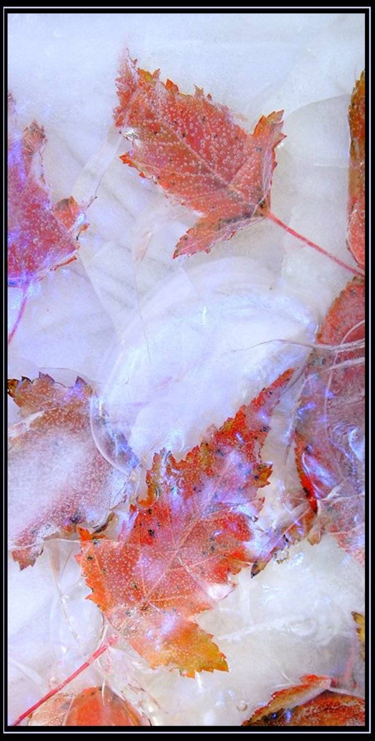 , Александр Сухотин