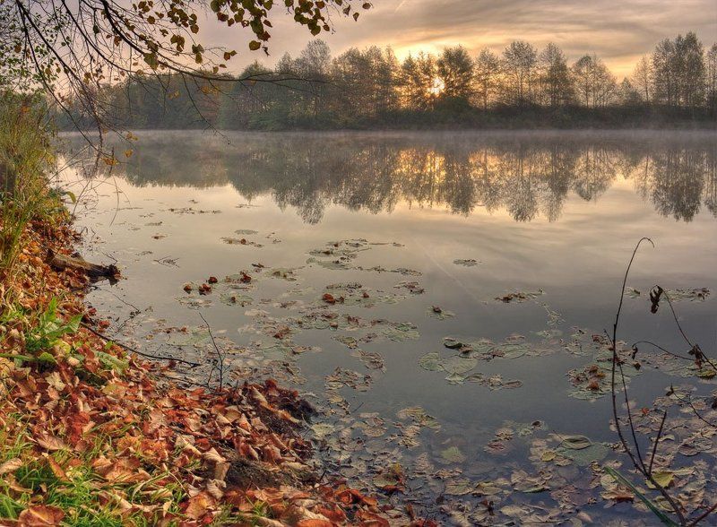 рассвет, утро, осень, пейзаж осень фото превью