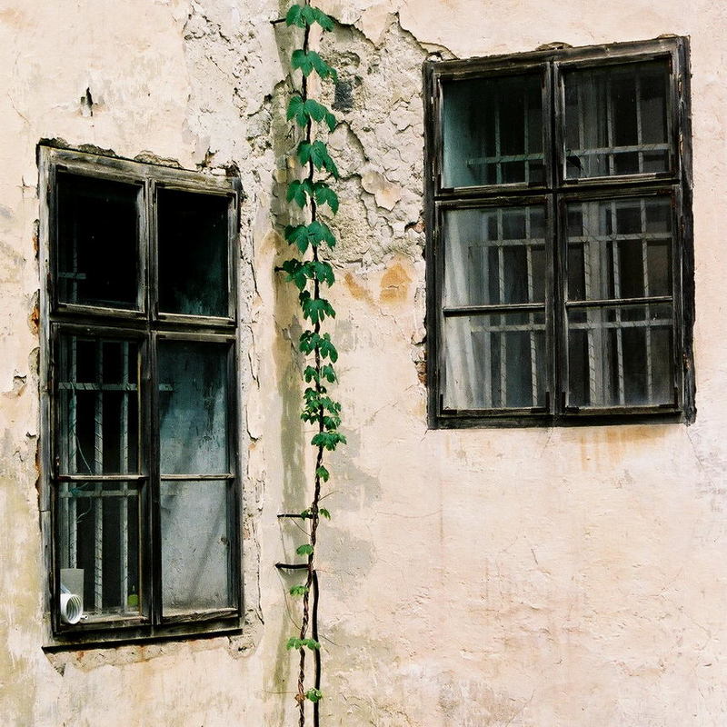 #|# фото превью