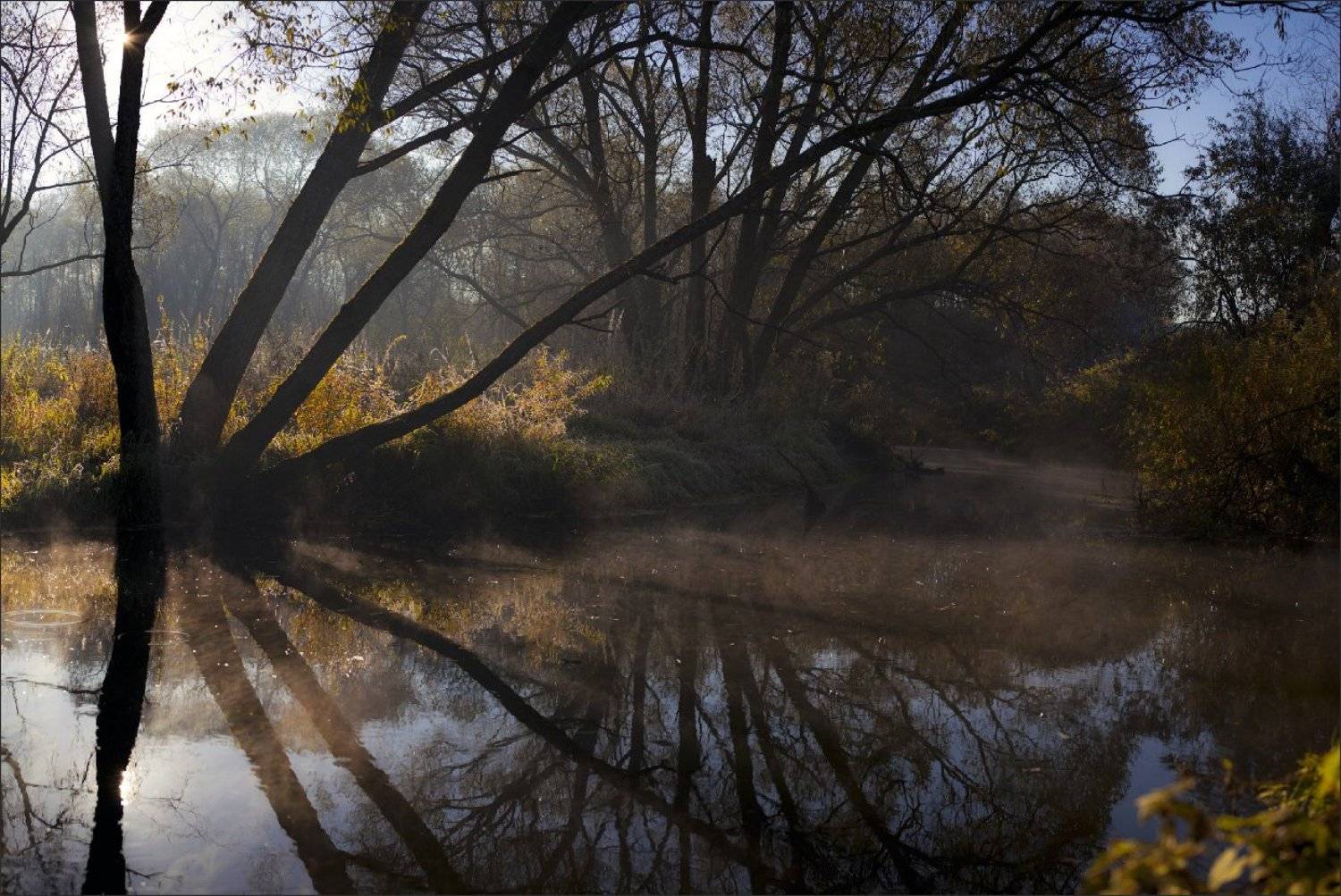 осень, Нетушки
