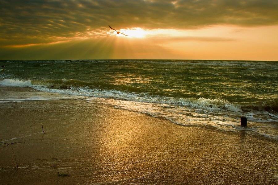 , Устинова Ольга