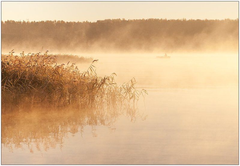 золотой рассвет фото превью