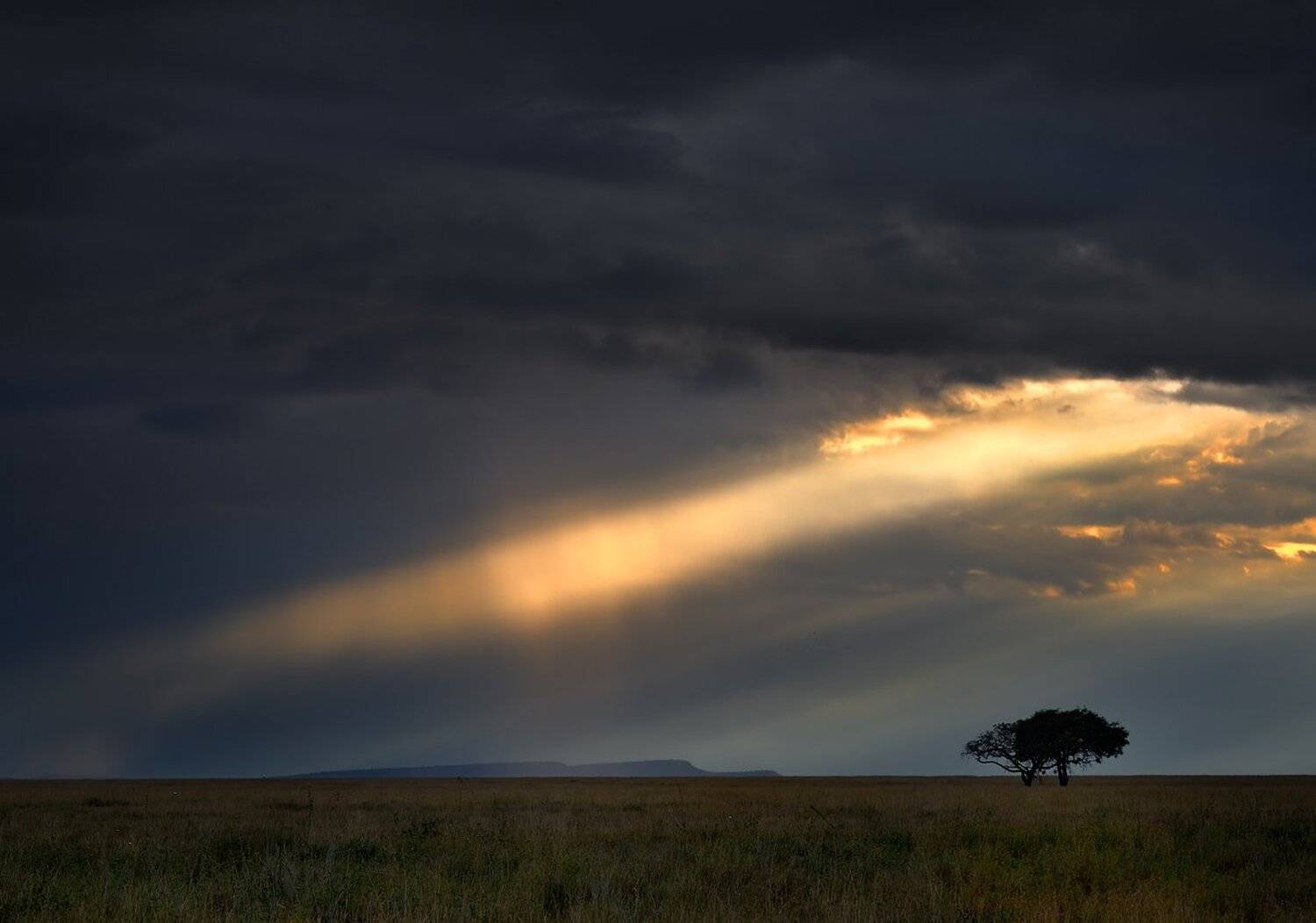 африка, закат, солнце, николай, зиновьев, Николай Зиновьев