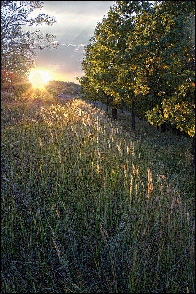 , Александр