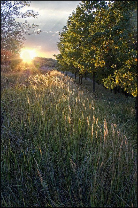 В лучах заката фото превью