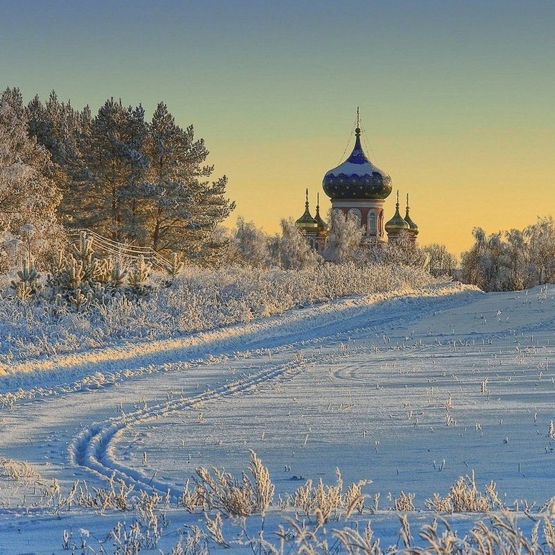 Родина фото превью