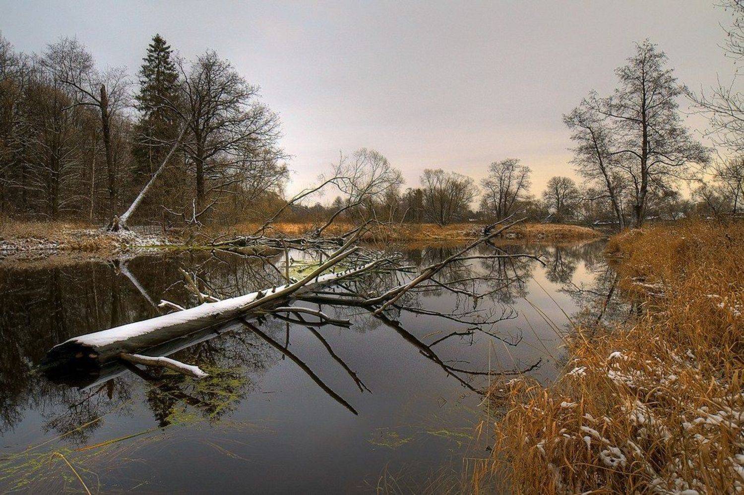 , Александр Виноградов