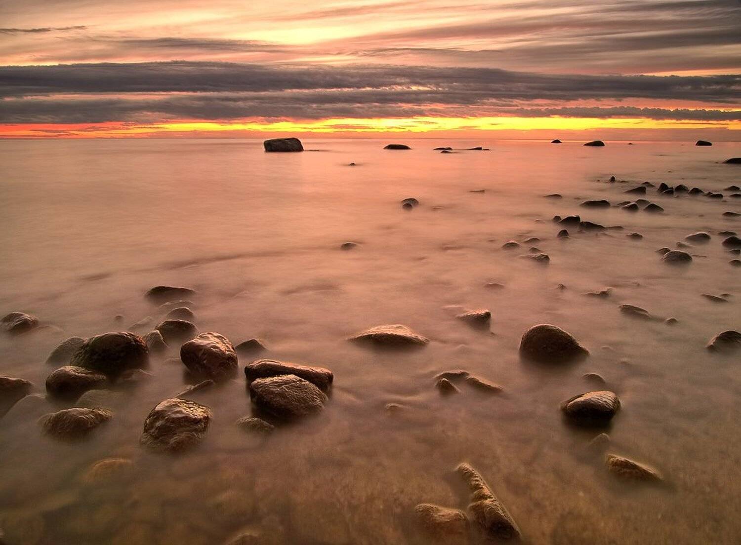 , Максим Евдокимов