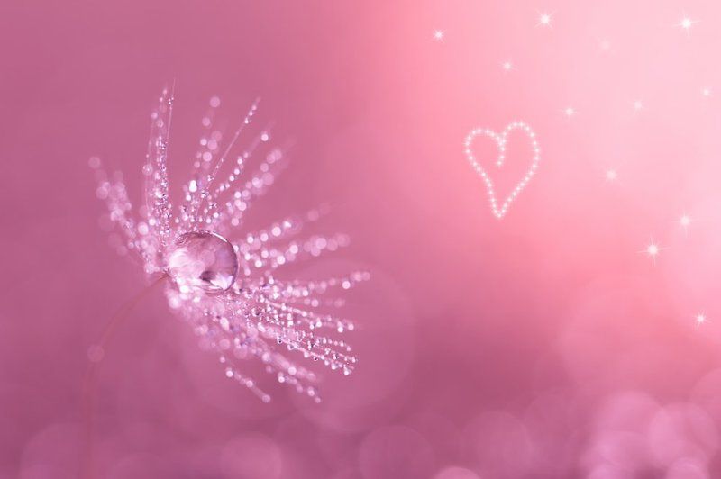 Романтичная пушинка фото превью