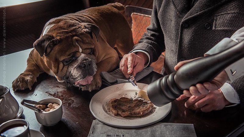 фото превью