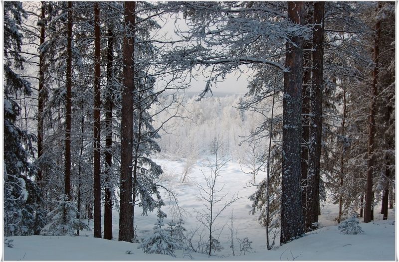 Приглашение в зиму фото превью