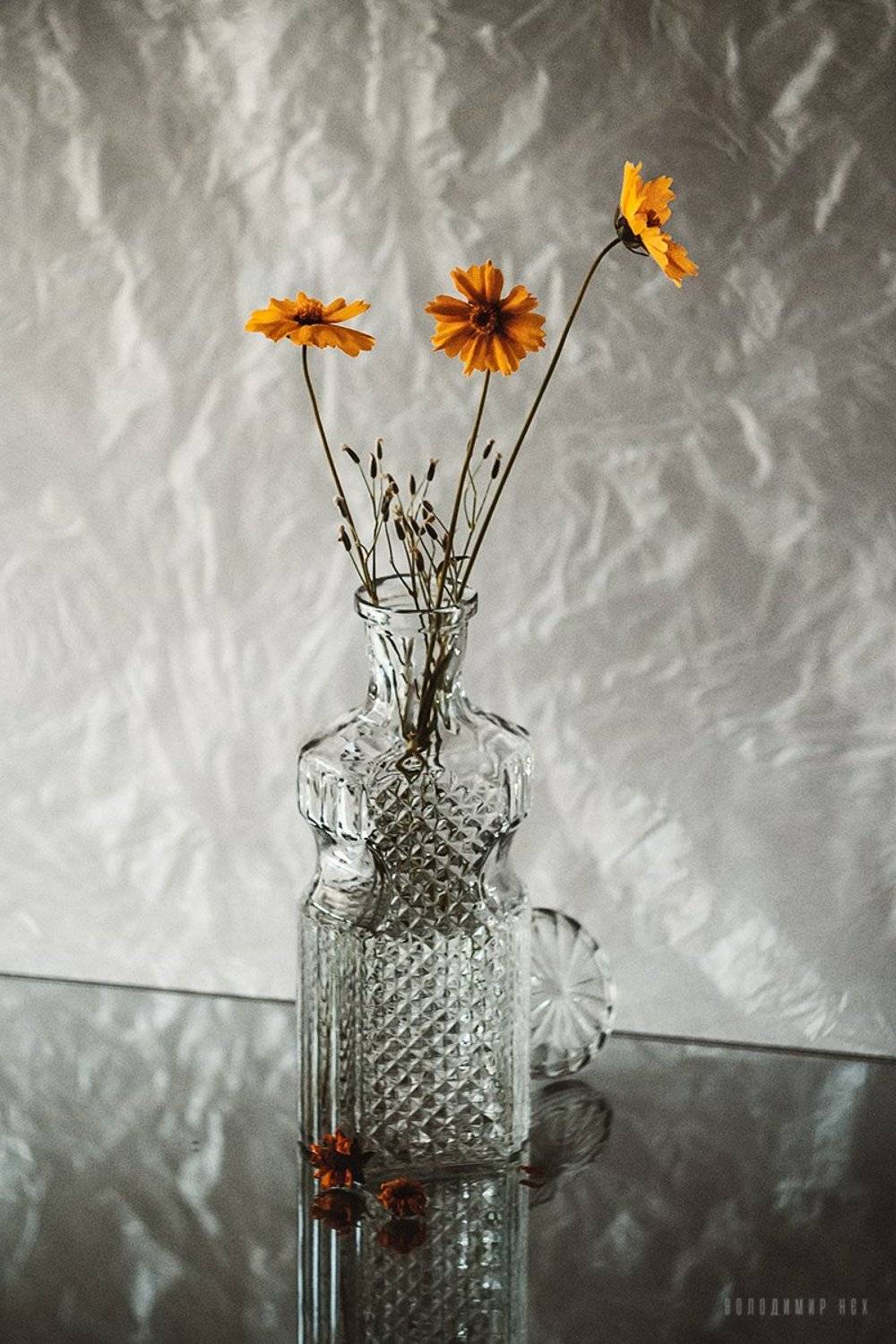 , Володимир Нєх / Vladimir Nekh