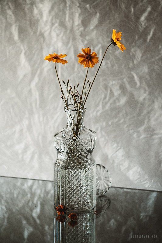 +++ фото превью