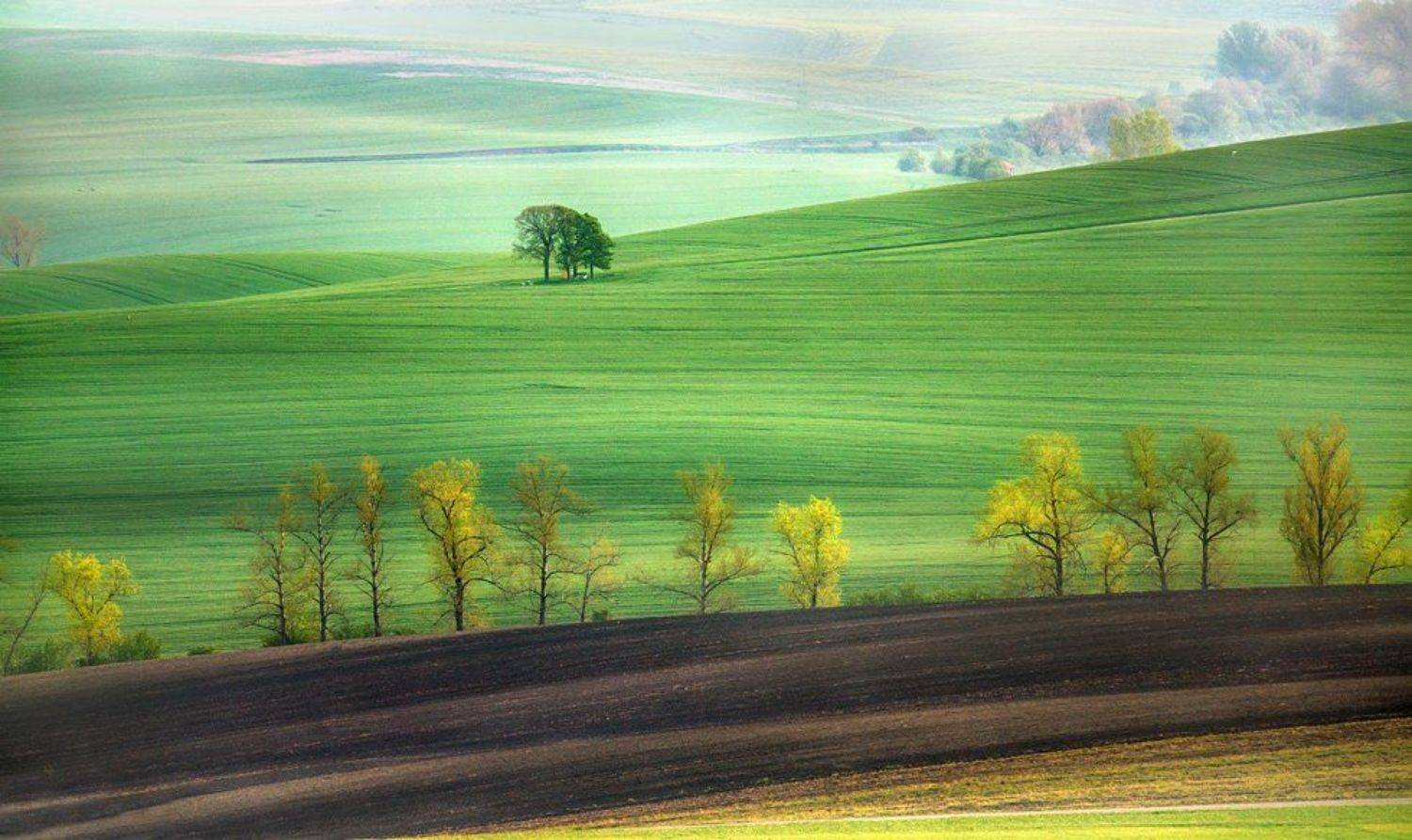 , Людмила Прокофьева