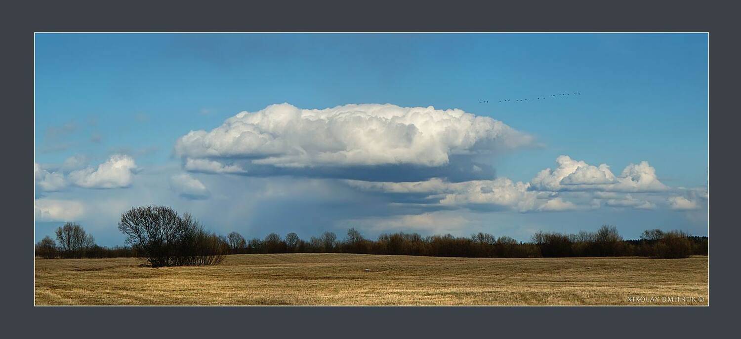 пейзаж, музыка, николай дмитрук