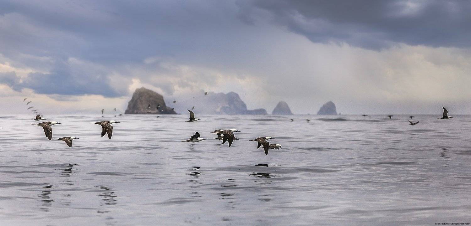 Перу, рыбалка, океан, облака, путешествия, шторм, Никита Сердечный