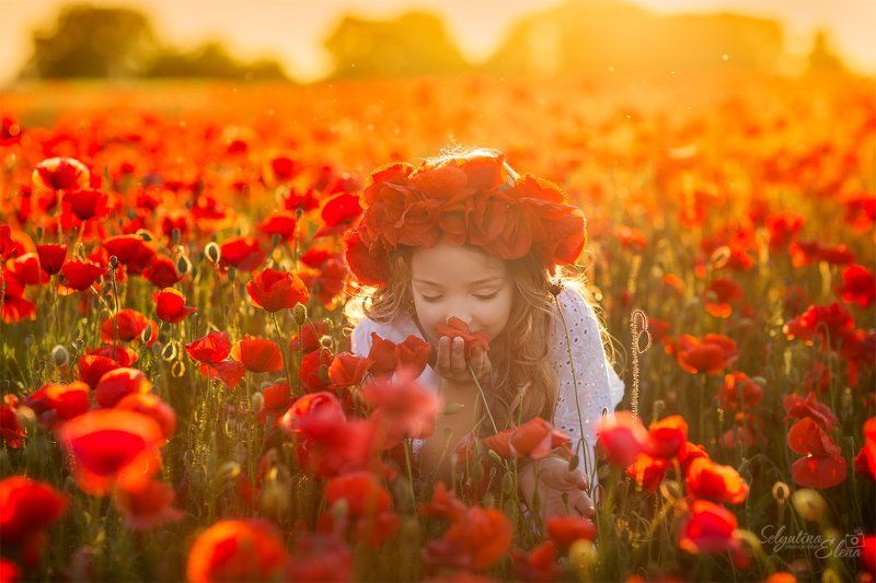 маки, маковое поле, детская фотография, poppies Элли в маковом поле фото превью