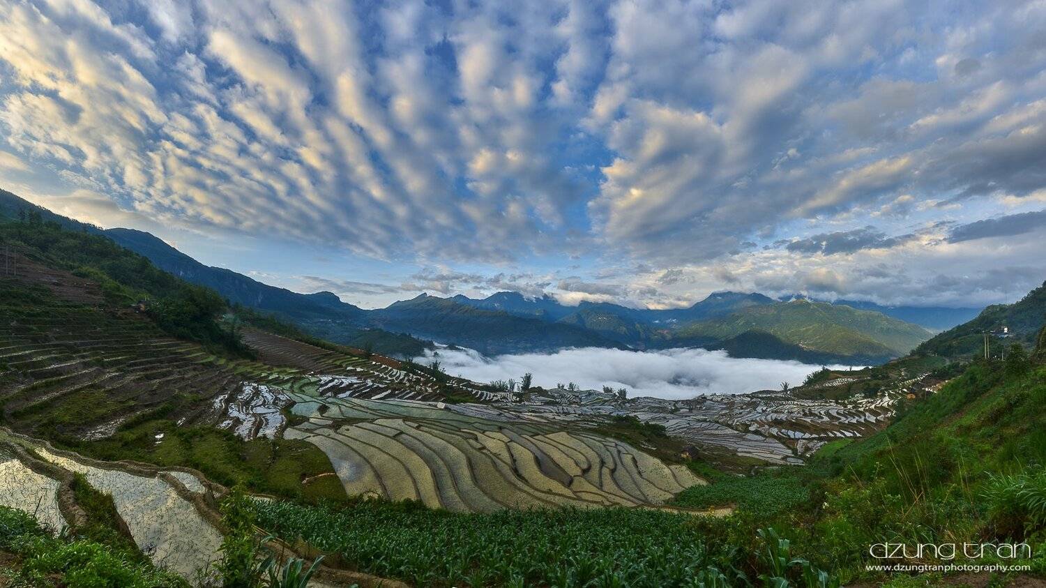 cloud,heaven,y ty, Tran Minh Dung