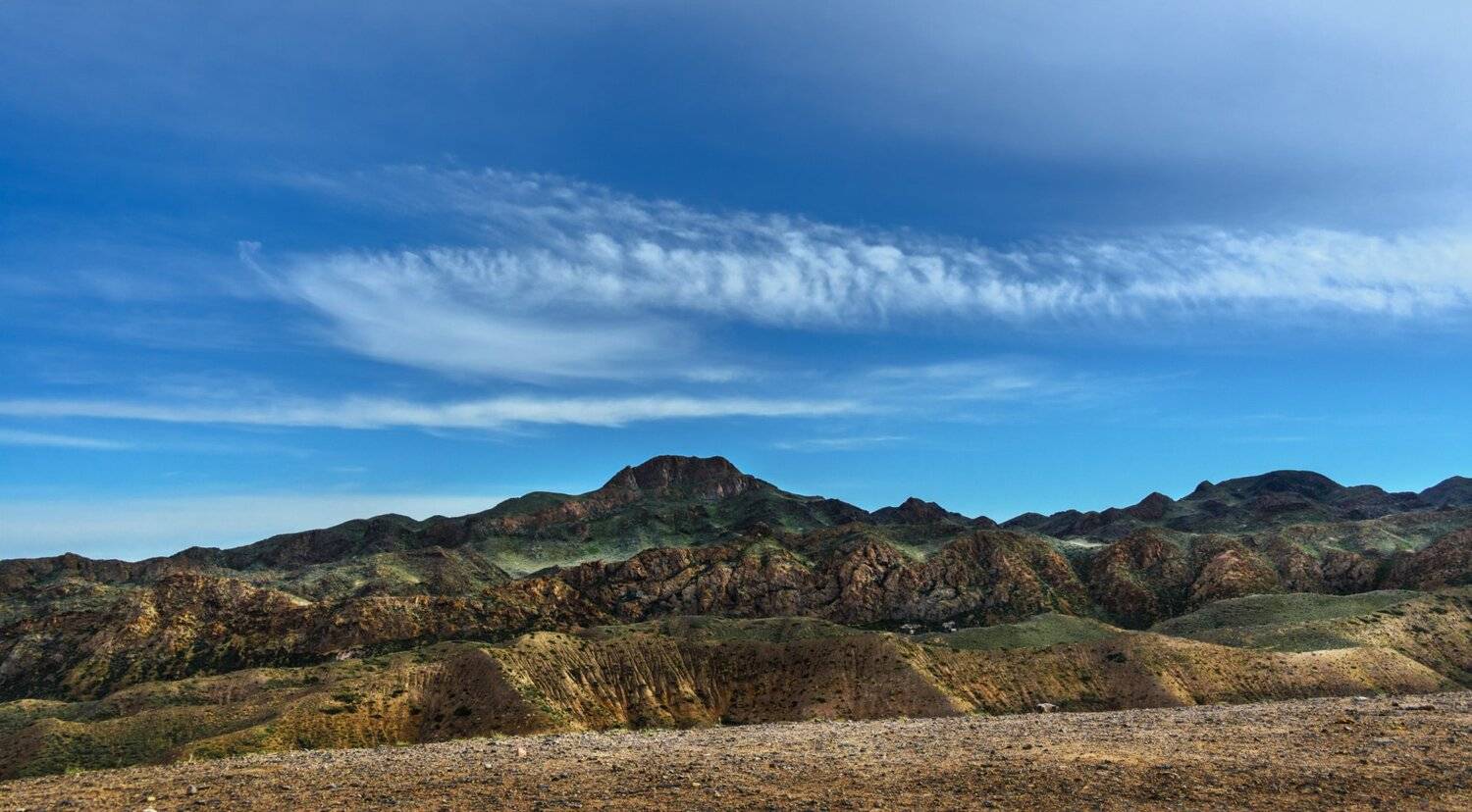 чарын, пейзаж, Неля Рачкова