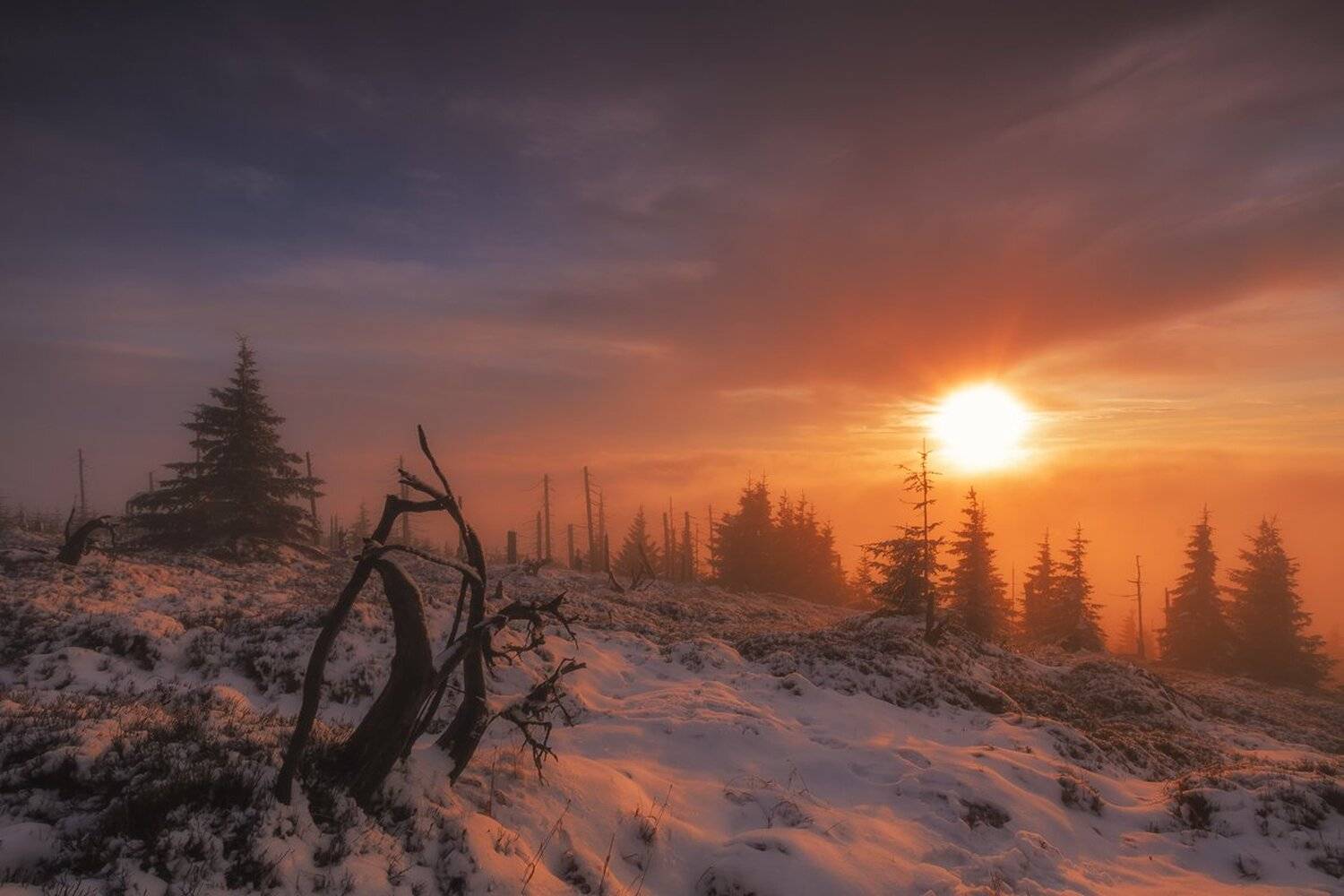 landscape,canon,winter,sunrise, Iza,Darek