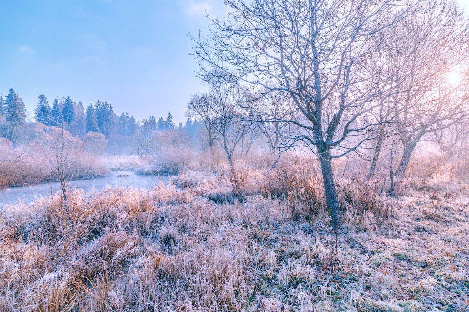 утро, мороз, иней, солнце, рассвет, река, природа, Виктор Климкин