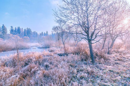 Первые заморозки