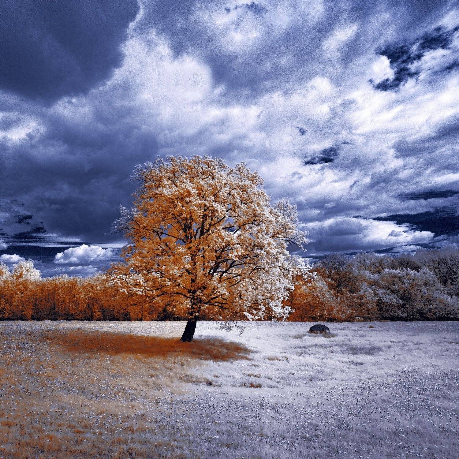 infrared,ик-фото,инфракрасное фото,инфракрасная фотография,пейзаж,природа,беларусь,весна, Sixten ( Сергей )