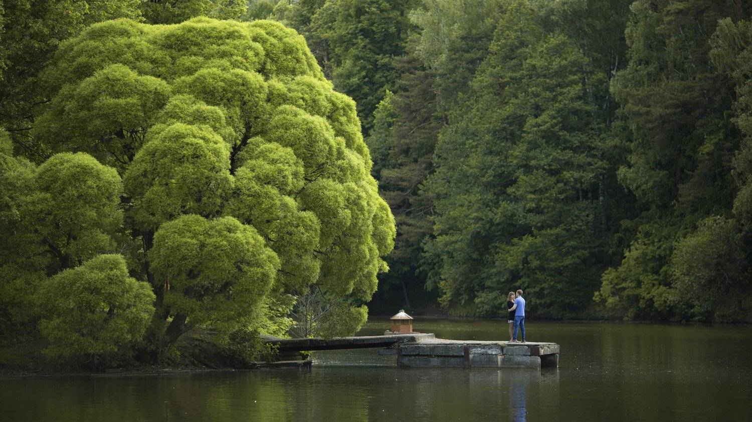 , Анатолий Чигин