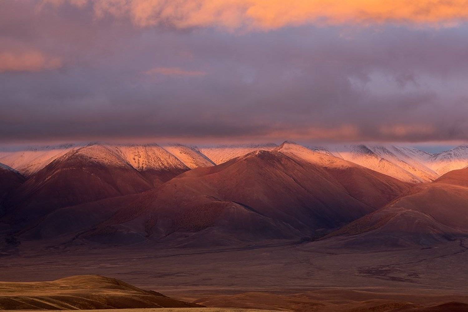 , Юрий Сорокин